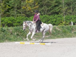 2009 Springundervisning